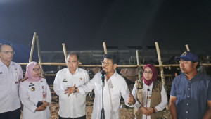 Surplus Hewan Kurban di Sulsel, Mentan SYL Siapkan 3,2 juta ekor Sapi Seluruh Indonesia